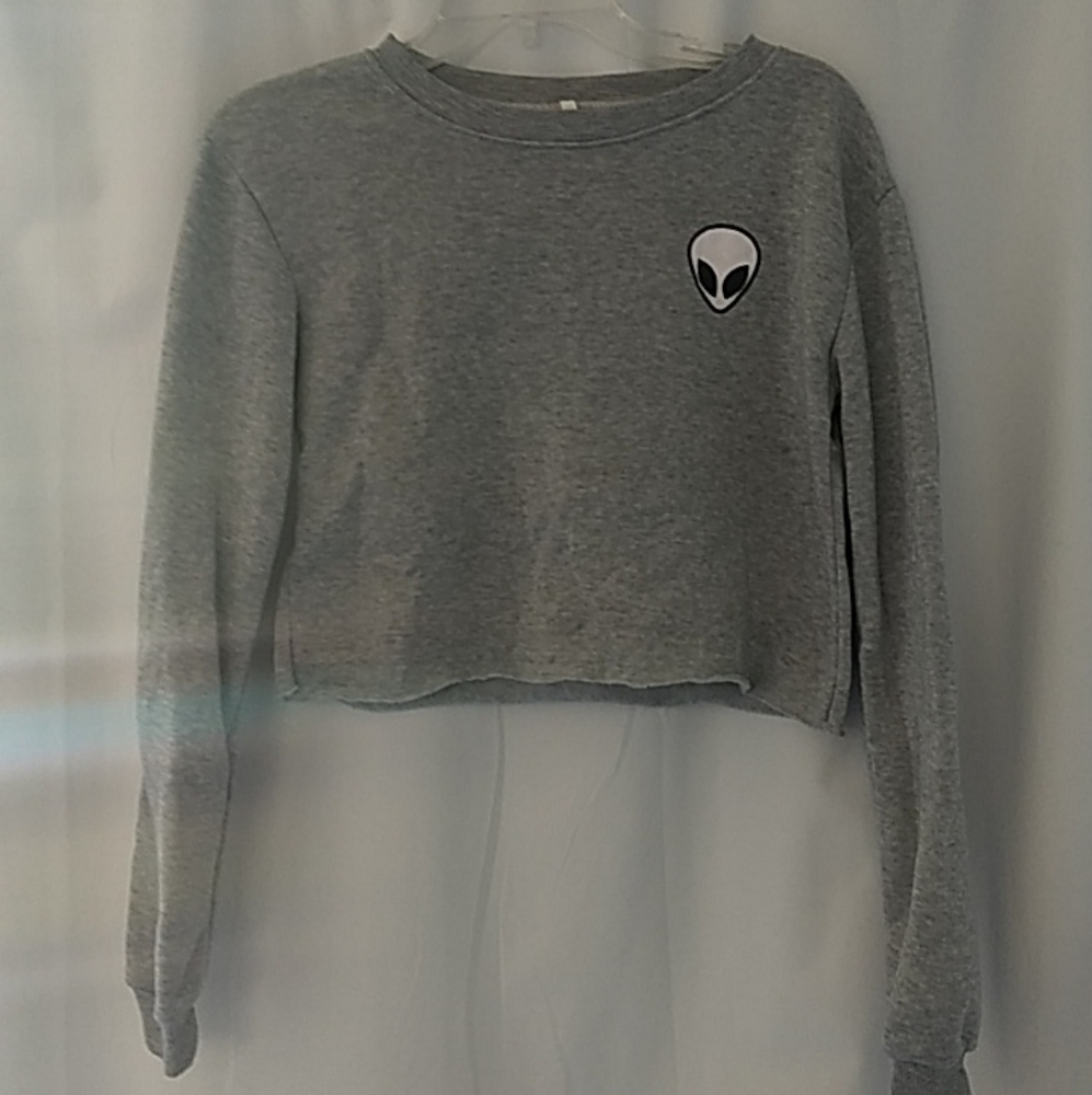 Long sleeve crop top